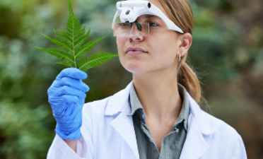 Environmental and Sustainability